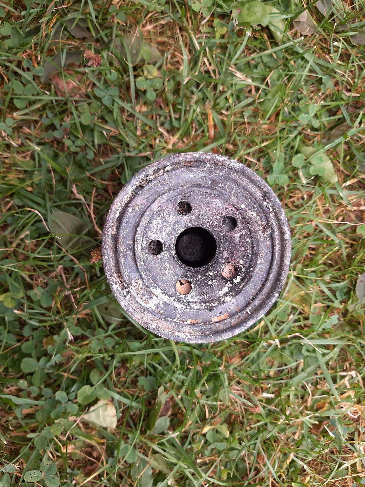 Cut-open automotive engine oil filter